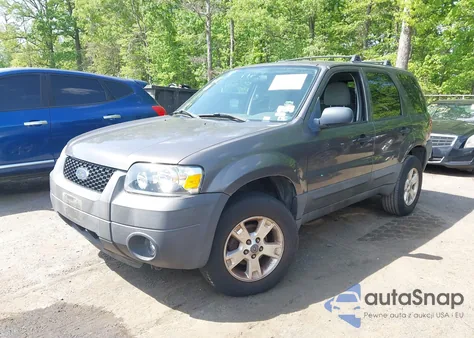 2006 Ford Escape Xlt z USA, uszkodzony, nr VIN 1FMYU03Z16KA98112